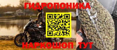 ПСИЛОЦИБИНОВЫЕ ГРИБЫ Сланцы